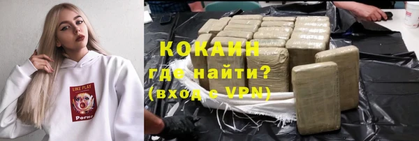 дживик Осташков