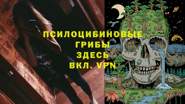 герыч Арсеньев