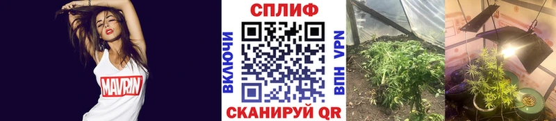 Бошки Шишки Bruce Banner  Баймак 